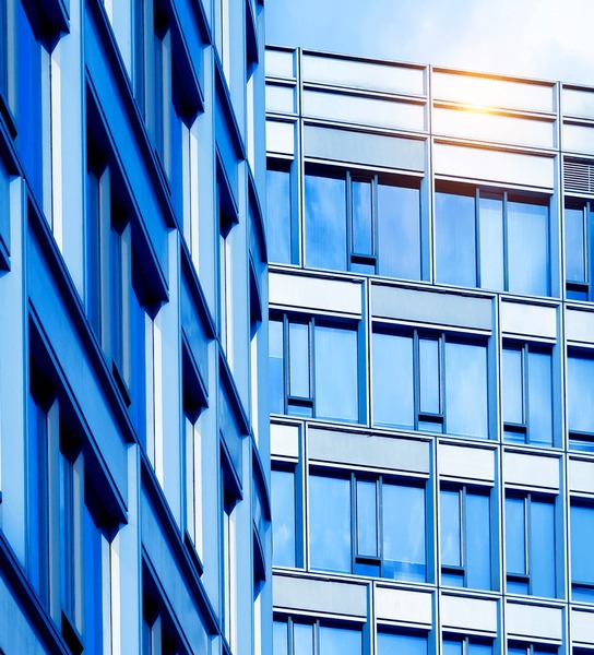 Operational Excellence & Organizational Efficiency